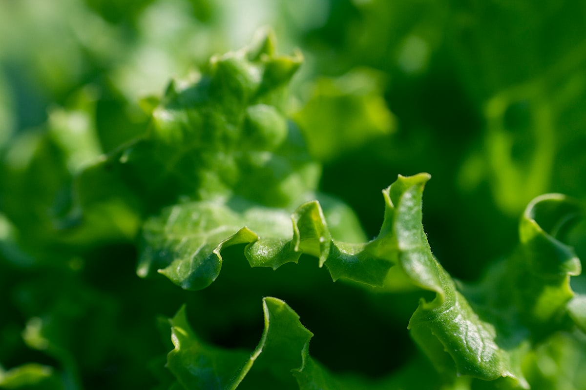 Articolo sulla ricerca nutrizionale