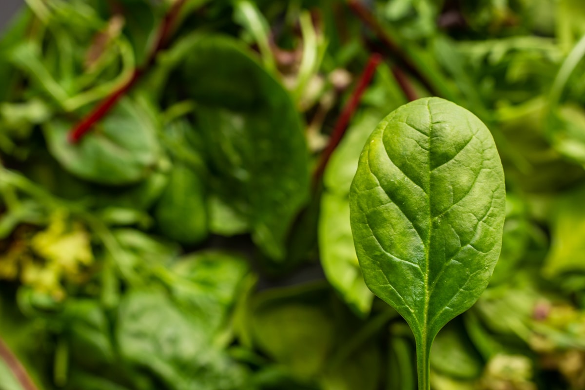 La storia di Eyevibrancefood